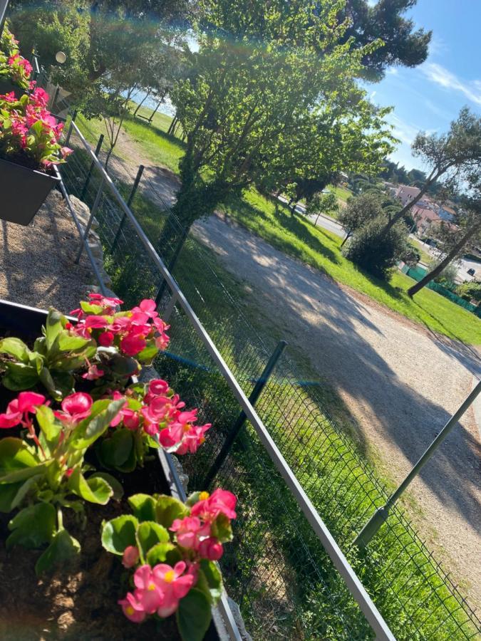 Mobile Home Biondina Camp Porton Nature Hideouts Ровин Екстериор снимка
